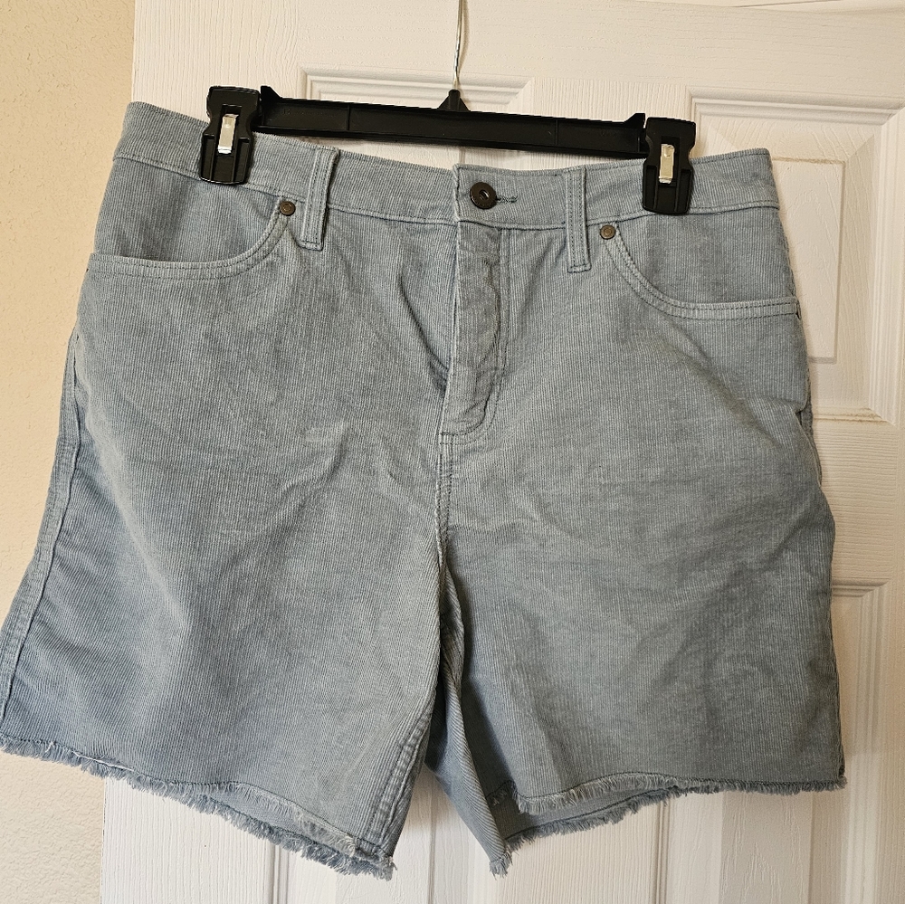 Carve Designs Oahu shorts